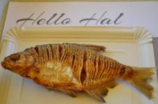 Helló Hal tiszai halak falatozója