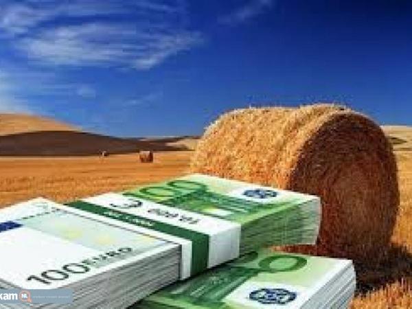 Do you need a cash? Do you need financial help