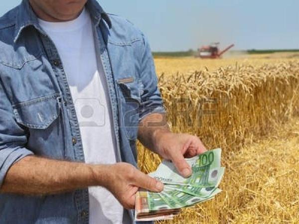  kínálnak hiteleket az egyének közötti súlyos és gyorsan